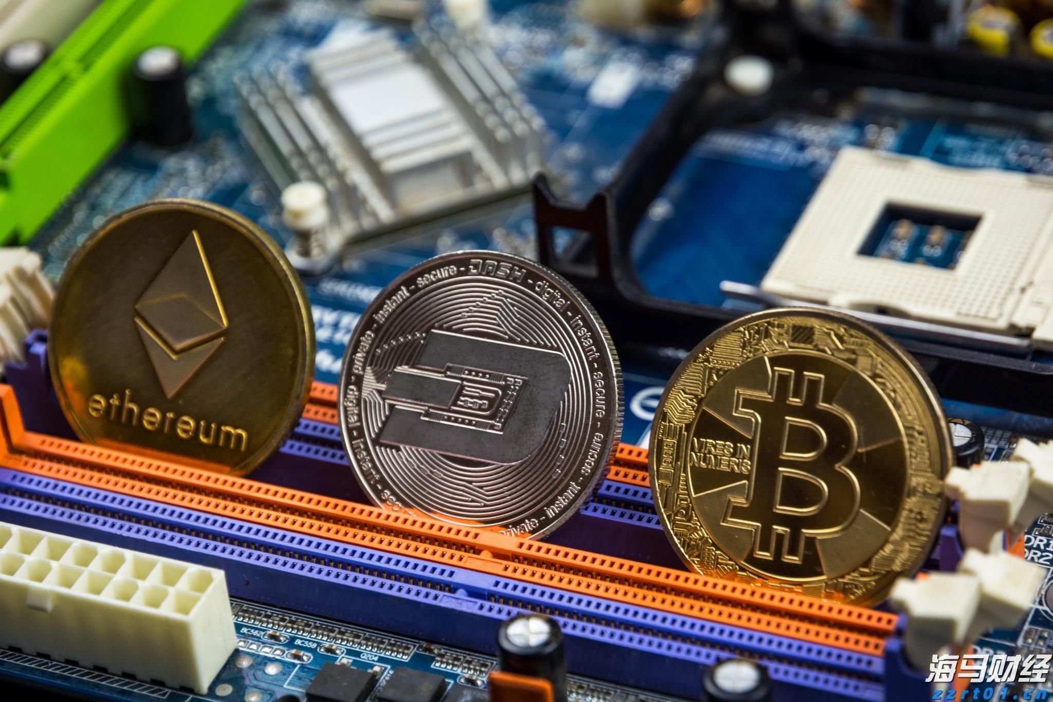 张家口53.18万亩盐碱耕地实现良种全覆盖